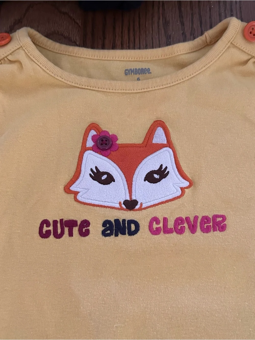 Gymboree 2013 Fashionable Fox 2pc Set Denim Skirt Skirt LS Top